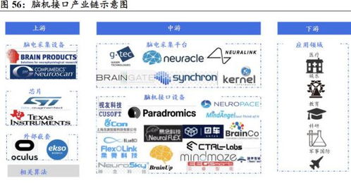 馬斯克發文引爆科技圈 腦機接口迎來重大技術突破，軟件生態成關鍵推手